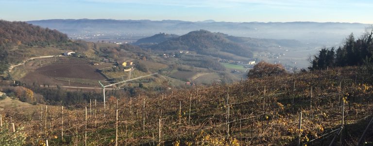 Azienda